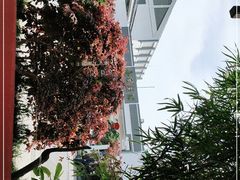 -老苏州茶酒楼