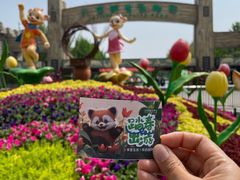 -北京野生动物园