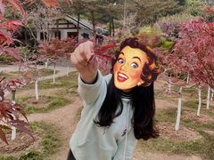 -广州市帽峰山景区