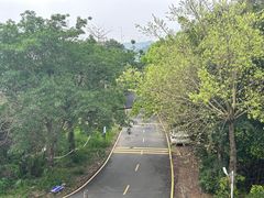 -马峦山郊野公园