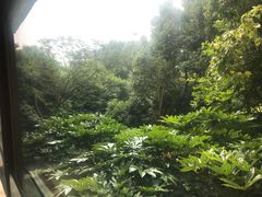 -宁波九龙湖开元度假村