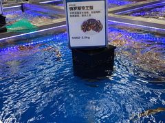 -盒马X会员店(上海森兰商都店)