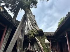 -太平天国侍王府