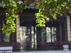 -秋霞圃