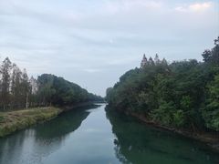 -昆山城市生态森林公园