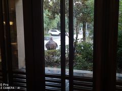 -良渚君澜度假酒店·中餐厅