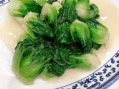 清炒菜胆-宁波状元楼酒店(和义路店)