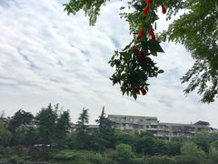 -桂林两江四湖景区