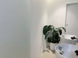 -SalonRivelin 沙龙瑞菱