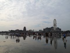 -奉贤海滩