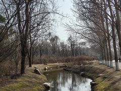 -沈阳鸟岛