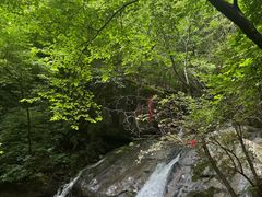 -青峰峡国家森林公园