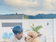 -Blue Concept Cafe&Farm·關於藍