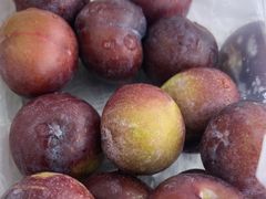 -尚客优悦酒店(成都龙泉驿都中路航天城店)