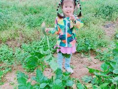 -百果山乐享果玩