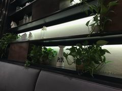 景观位-轻捞慢起面馆(新世界百货店)