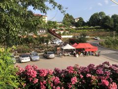 -玫瑰庄园·自助烧烤·烤全羊·团建拓展(龙泉山店)