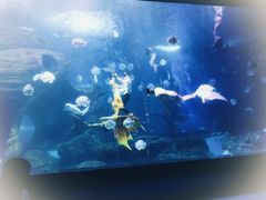 -多彩贵州城极地海洋世界