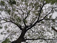 -沪东工人文化宫