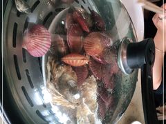 -港畔赶海蒸汽海鲜烧烤自助(仙螺岛店)