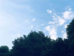 -红旗大食堂(君悦紫园店)