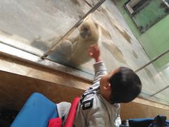 -石家庄市动物园