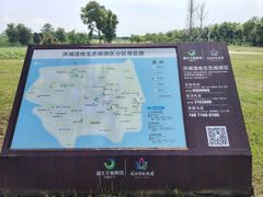 -洪湖生态旅游区