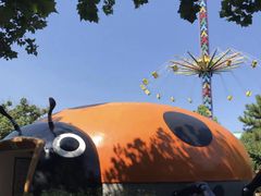 -朝阳公园游乐园