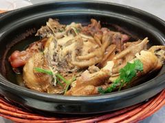 -百鸟朝凤宴会中心