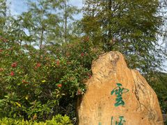 -云溪植物园