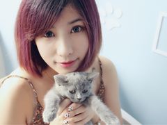 iphone_upload_pic-喵的天空名猫咖啡馆·撸猫·猫舍·用品