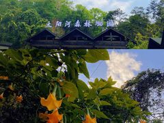 -普洱太阳河森林公园