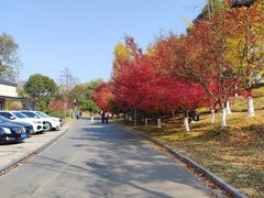 -南山风景名胜区