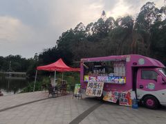 -南国桃园旅游度假区
