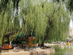 -团结湖公园