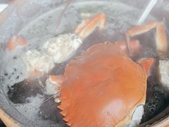 -老财炒饭·熟地蟹·冬瓜蟹