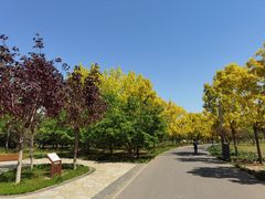 -东郊湿地公园