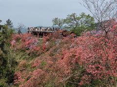 -岳西天峡风景区