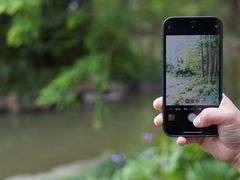 -上海植物园-4号门售票处