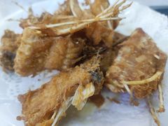 -源港渔村-中山脆肉鲩(博罗店)
