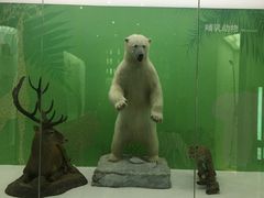 -国家自然博物馆