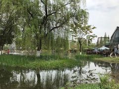 -成飞公园
