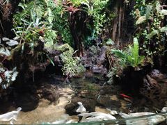 -太平洋海底世界