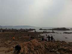 android_upload_pic-八大关景区