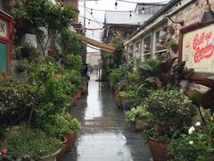 -The Grounds of Alexandria