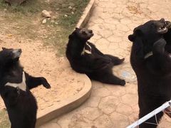 -无锡动物园·太湖欢乐园