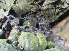 -藏龙百瀑风景区