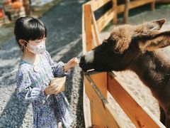 -HERRE·FARM 赫尔露营农场·团建聚会包场