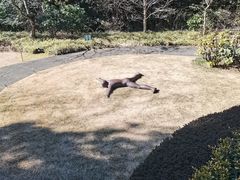 -雕刻之森美术馆