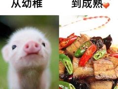 -炊烟小炒黄牛肉(中心印象城店)